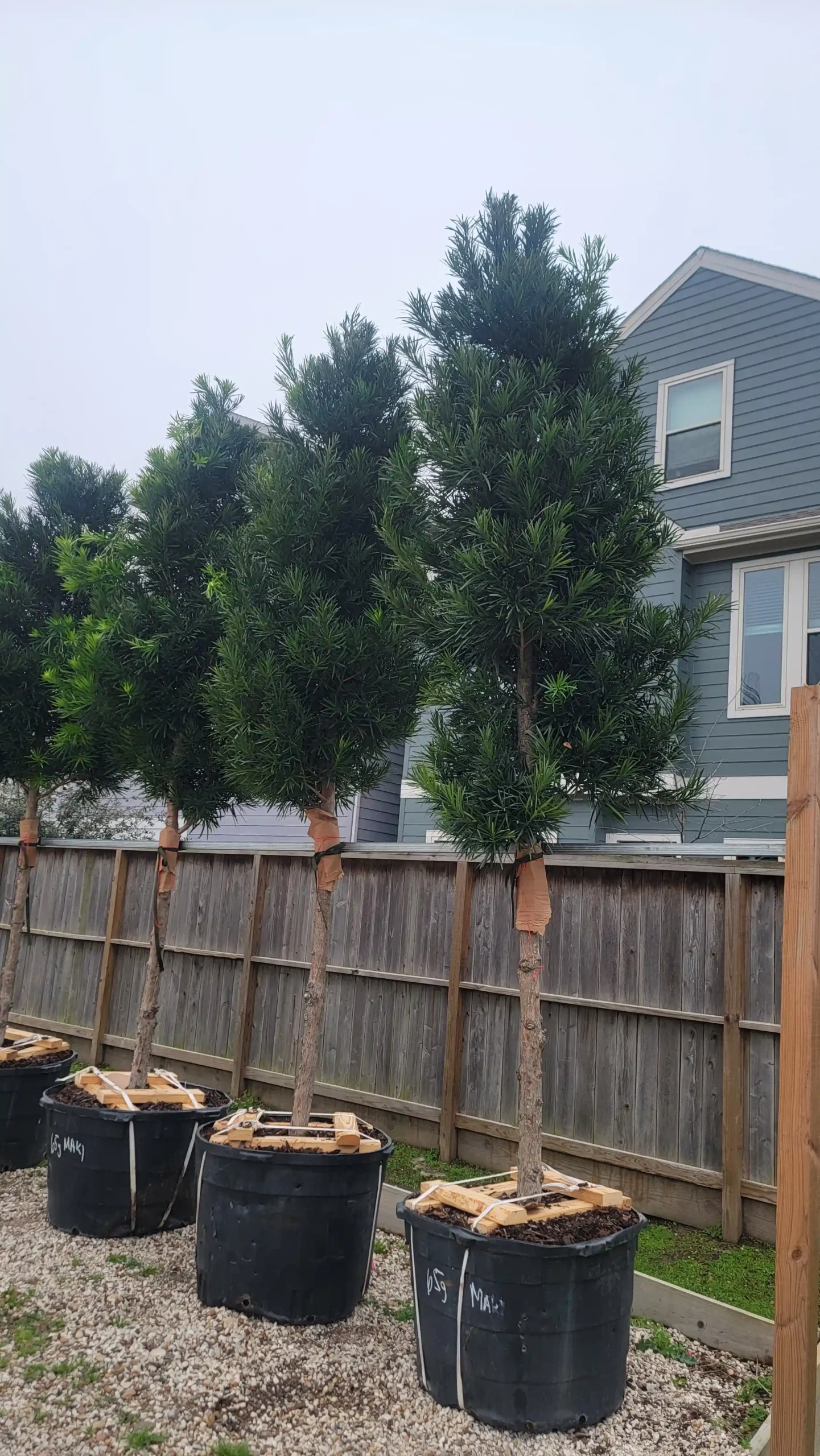 Landscaping
