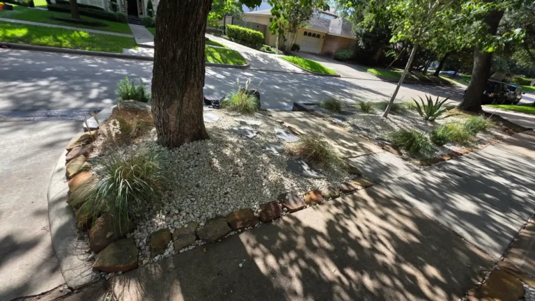 Xeriscaping project 6