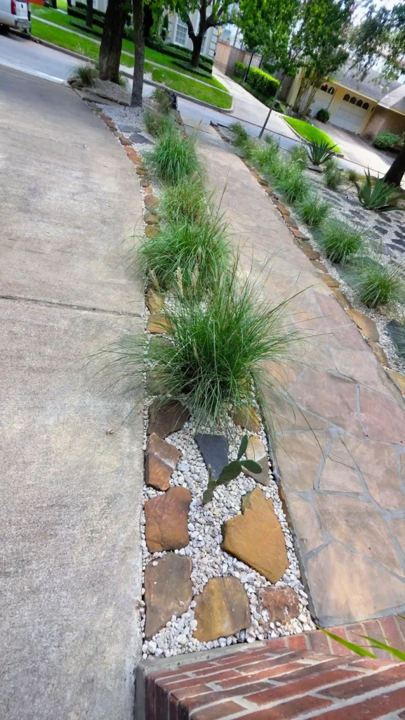 Xeriscaping project 7