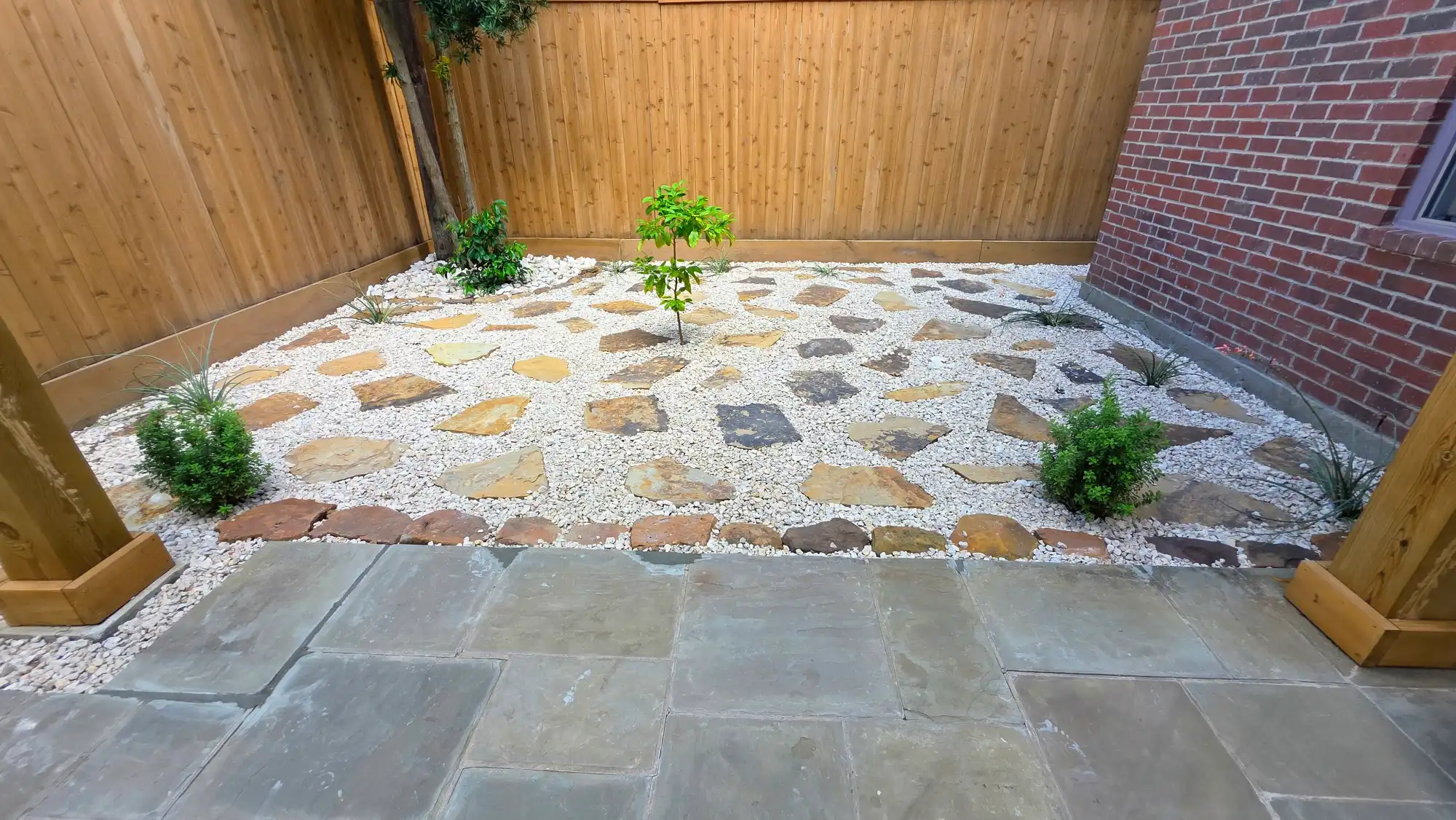 Xeriscaping project 1