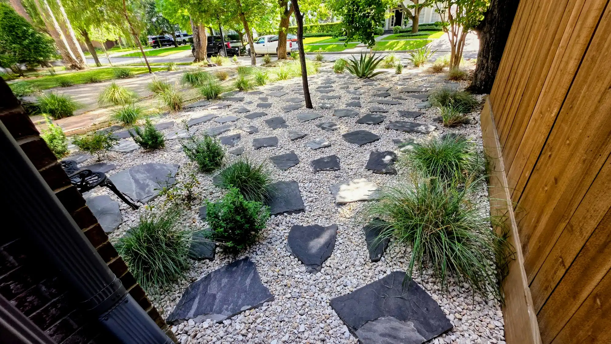 Xeriscaping project 5